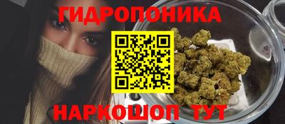 дмт Новокубанск