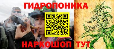 дмт Новокубанск