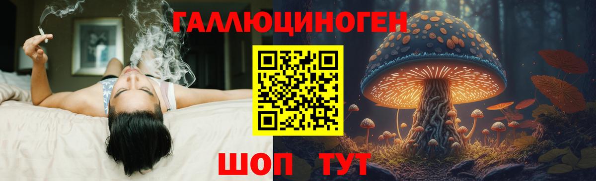 Удомля  Псилоцибиновые грибы Cubensis  Вход с VPN 